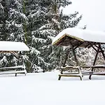 Gutshof