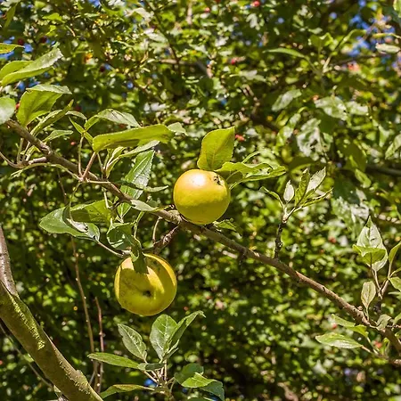 Ξενοδοχείο Gutshof Hartenstein (Saxony)