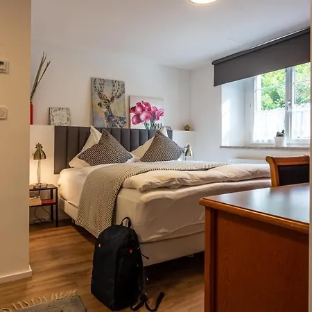 Gutshof 3* Hartenstein (Saxony)