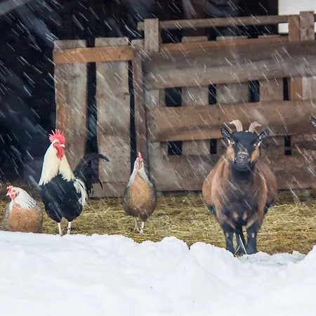 Gutshof 호텔 하르덴슈타인