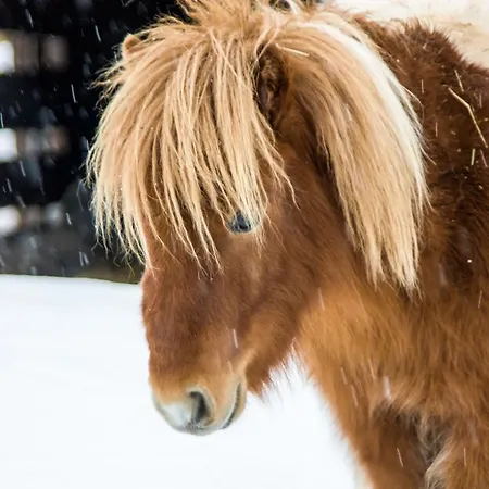 Ξενοδοχείο Gutshof 3*