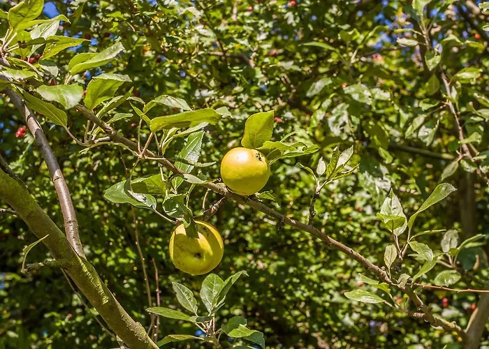 فندق Gutshof Hartenstein (Saxony)