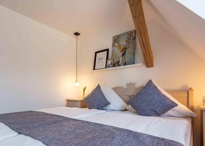 Gutshof فندق Hartenstein (Saxony)